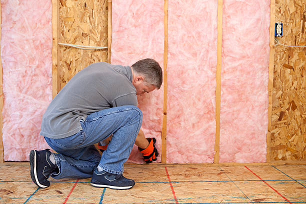 Best Insulation Installation Services in Seaman, OH